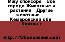 Ищу спонсора - Все города Животные и растения » Другие животные   . Кемеровская обл.,Калтан г.